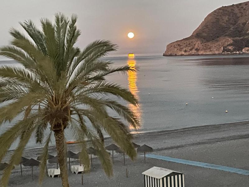 El SOL del SUR - image 15