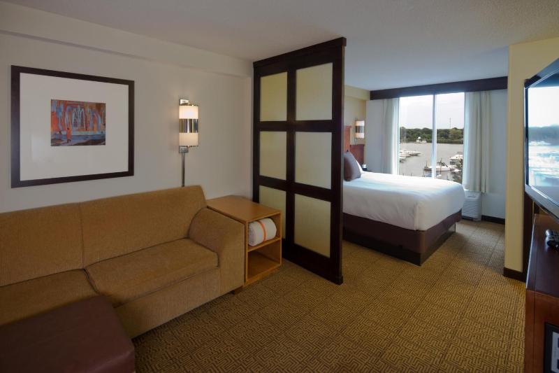 King Room with Sofa Bed and Roll-In Shower - Disability Access image 4
