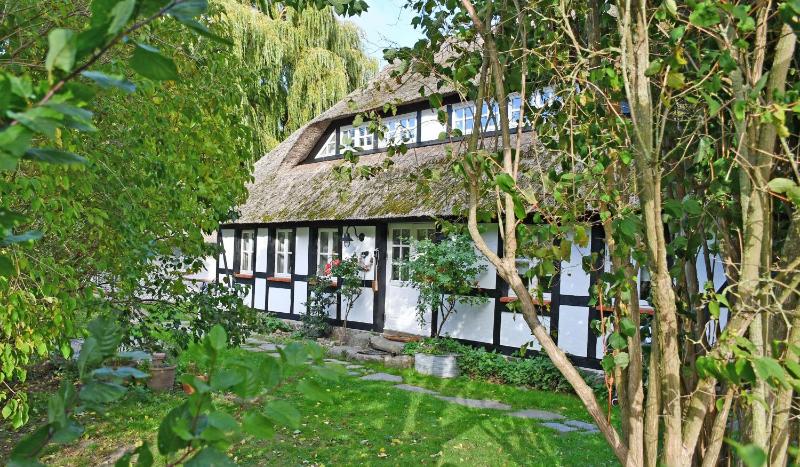 NEU angeboten Mönchguter Ferienhaus u Reetdach mit Kamin - image 24