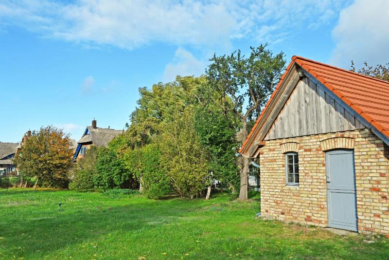 NEU angeboten Mönchguter Ferienhaus u Reetdach mit Kamin - image 2