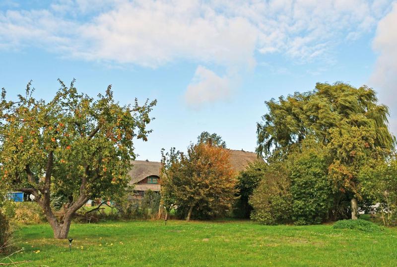 NEU angeboten Mönchguter Ferienhaus u Reetdach mit Kamin - image 15