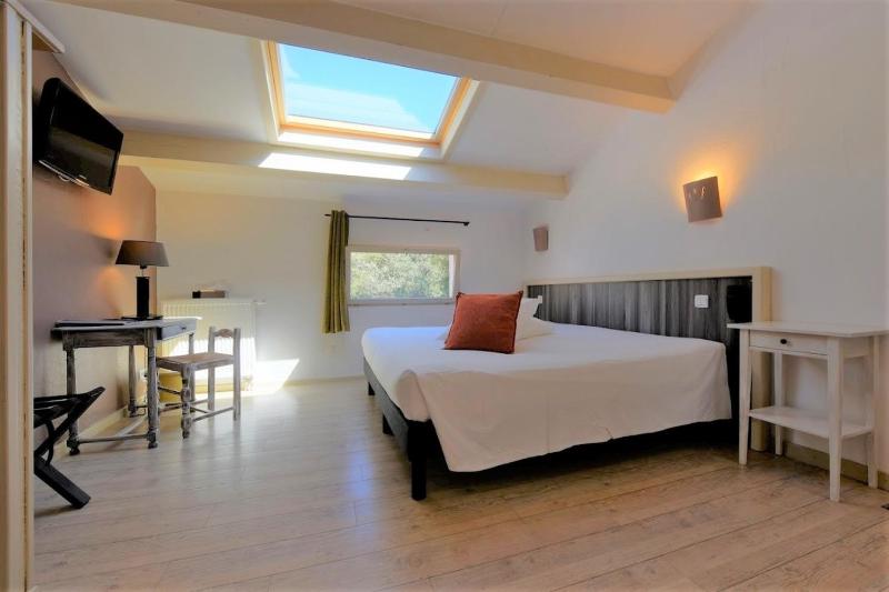 Superior Double Room image 4