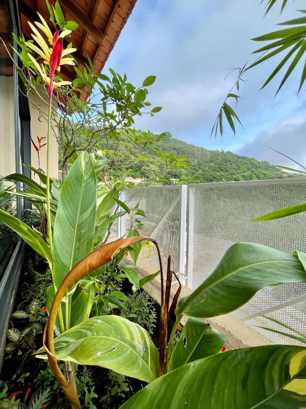 Soc House 2 - image 23