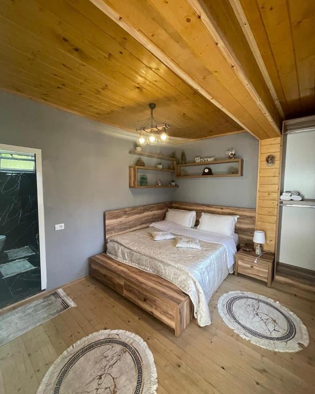 Double Room with Mountain View image 4