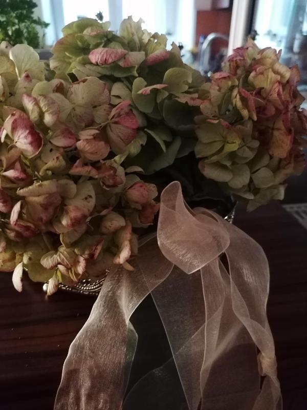 Deluxe Double Studio image 4