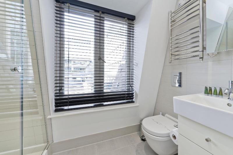 One Bedroom Apartment with Terrace image 4