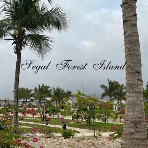 Segal Salalah-Forest Island-Hawana - image 17