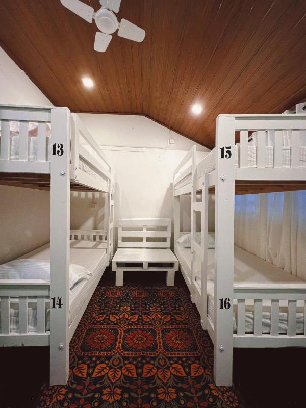 Bunk house Fort Kochi - image 8