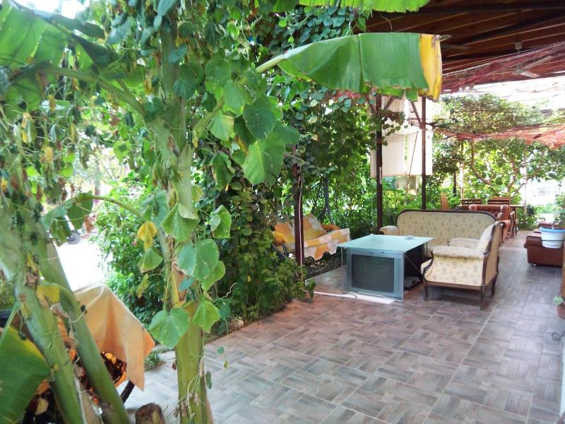 Apartment with Terrace image 3