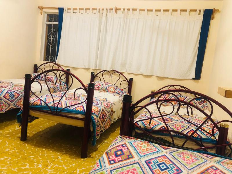 Los Nardos Hostel -pet friendly- - image 15