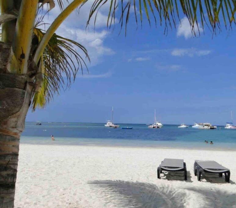 Hermoso apartamento con Vista al mar! Los corales - image 14