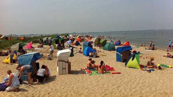 Witte Huus 75m_ und 51m_ Ferienwoh - image 21