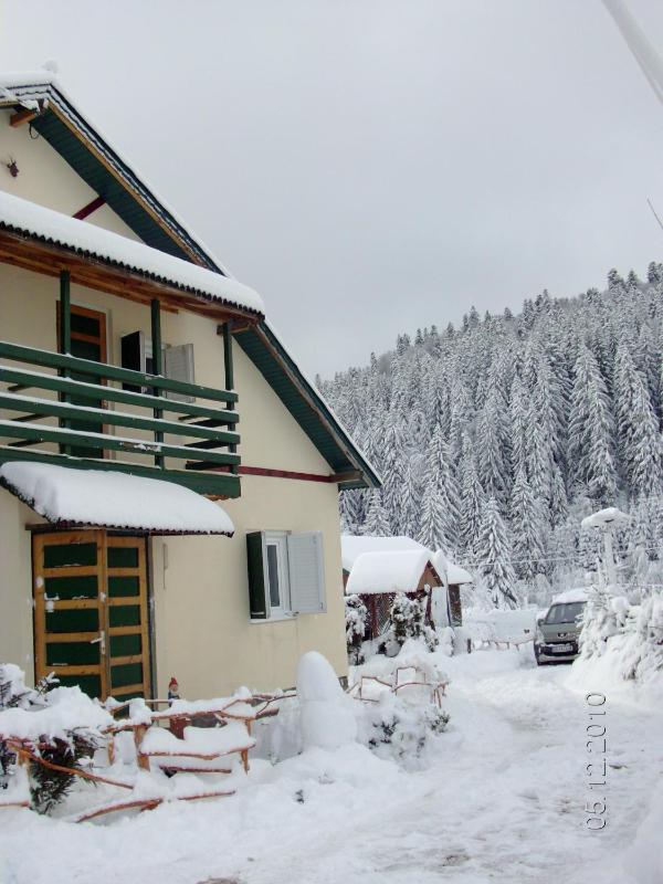 Standard Villa image 2