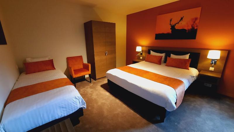 Double or Twin Room image 4