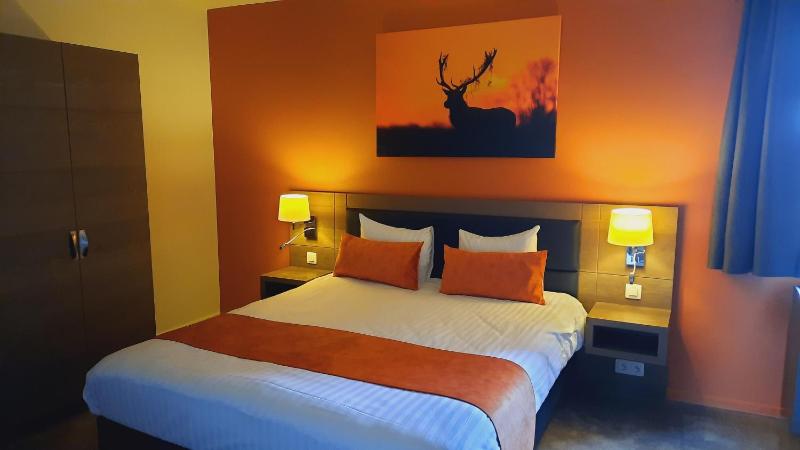 Superior Double or Twin Room image 3