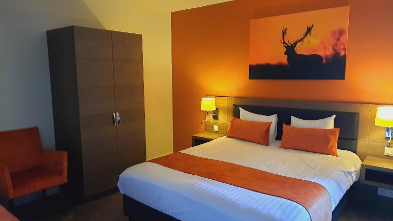 Double or Twin Room image 3