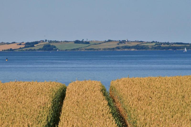 Doppelhaushälfte Seute Deern - image 9