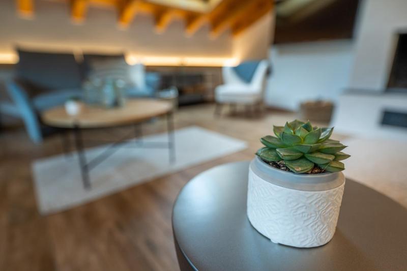 Penthouse Apartment image 4