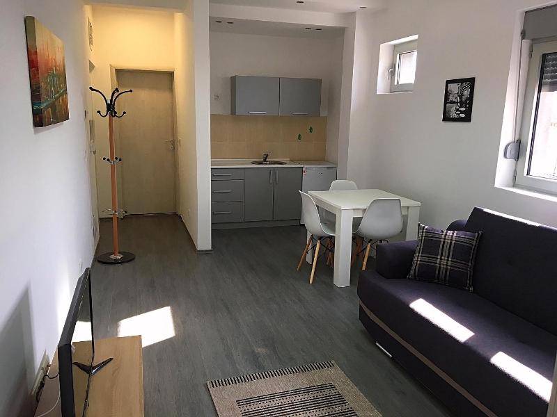 Deluxe One-Bedroom Apartment image 1