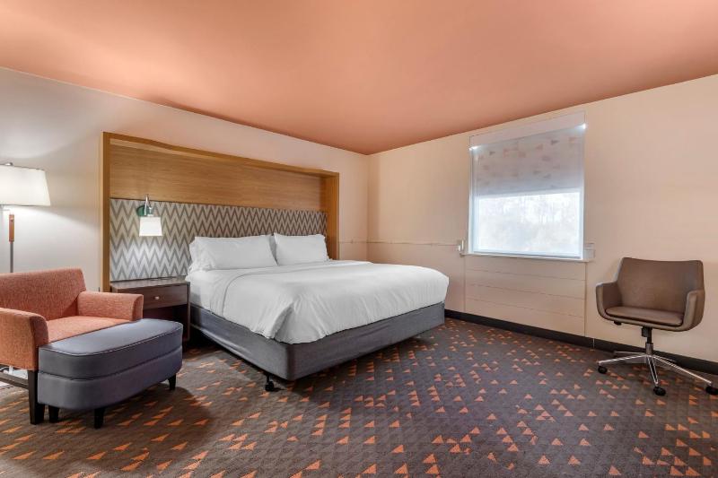 King Room - Mobility Access/Hearing Accessible