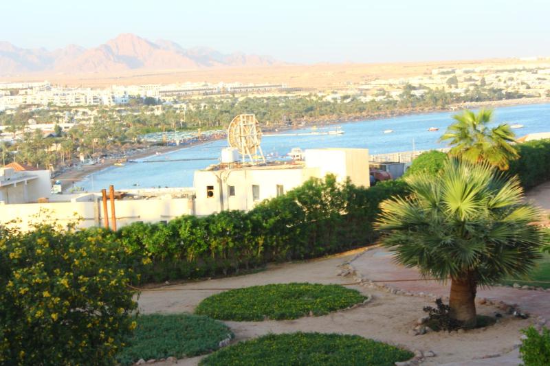 Eden Rock Hotel Namaa Bay - image 21