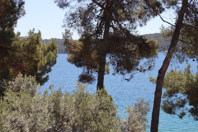 Apartments by the sea Mali Losinj (Losinj) - 2489 - image 14
