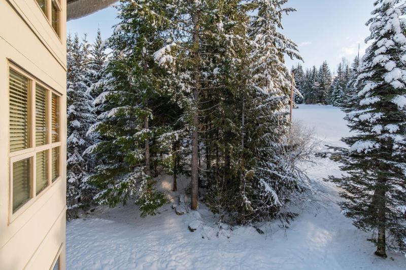 The best ski in ski out two bedroom condo at Aspens - image 21