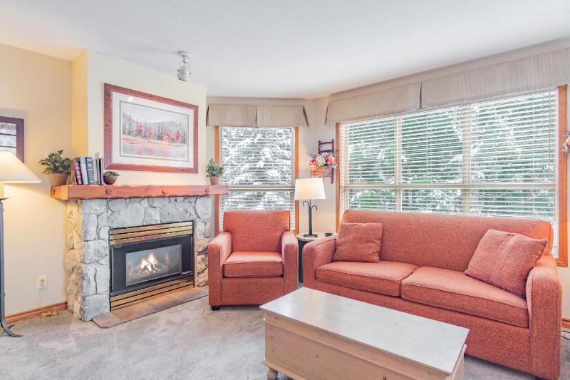 The best ski in ski out two bedroom condo at Aspens - image 9