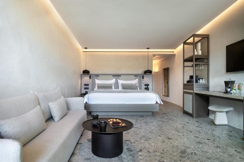 ZOE Junior Suite with Plunge Pool image 4