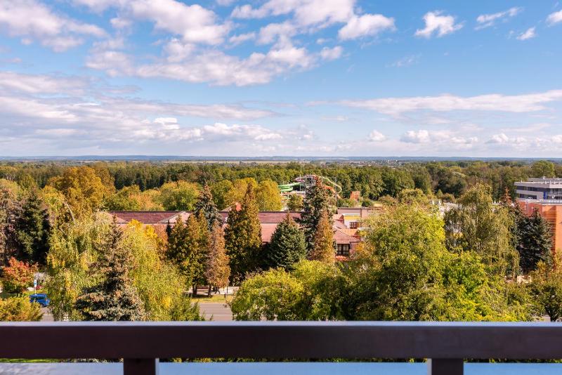 One-Bedroom Apartment image 3