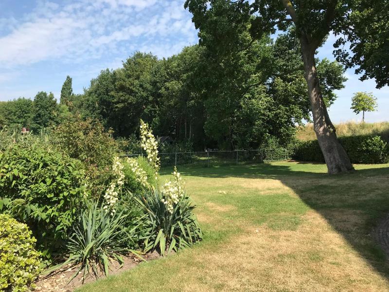 Family Suite image 2