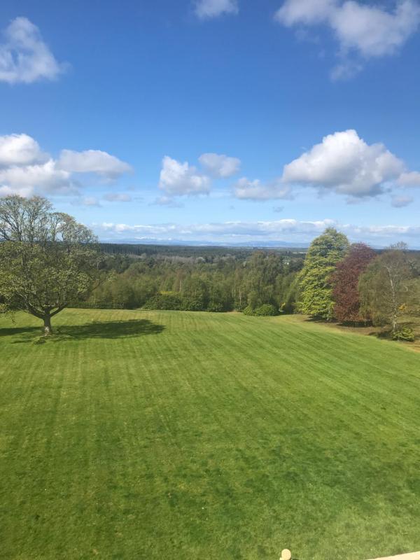 Double Room with Garden View image 2