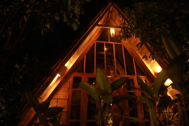 Cinnamon Paradise - image 15