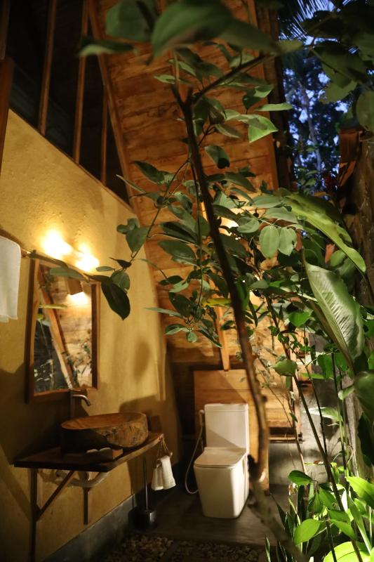Cinnamon Paradise - image 6