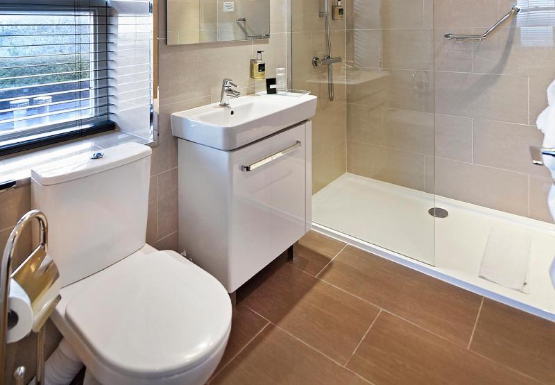 Superior Deluxe Double or Twin Room  image 2