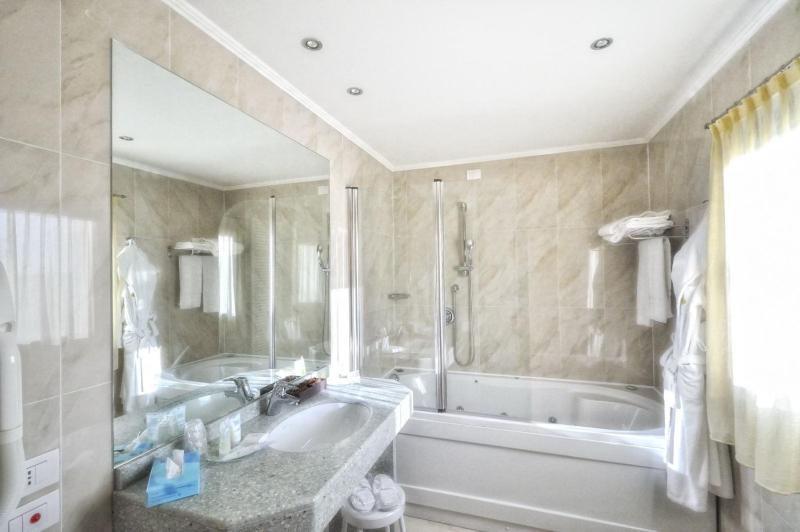 Deluxe Junior Suite image 3