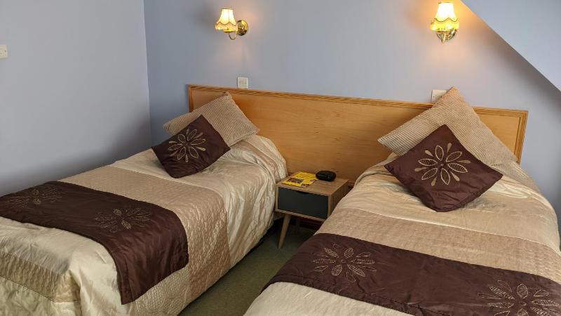 Standard Twin Room image 2