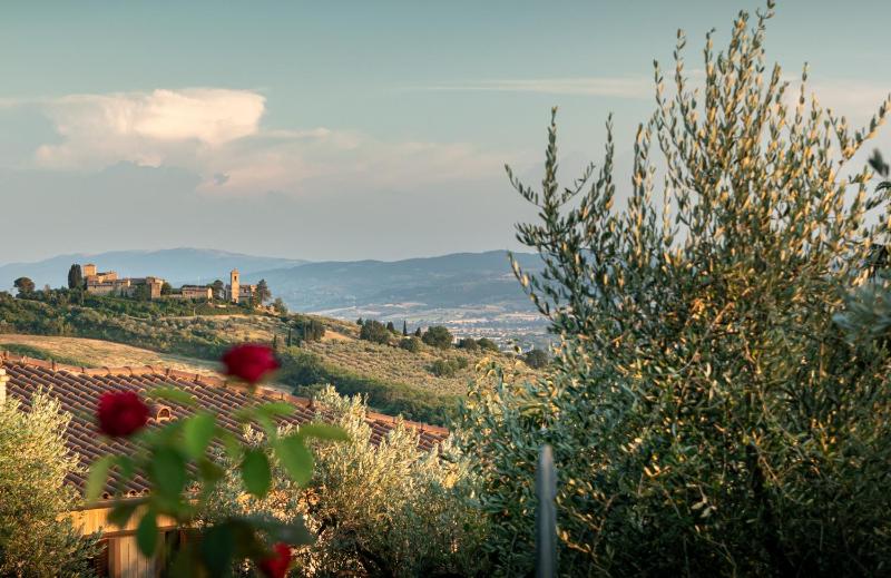 Agriturismo Assisi La Rocca - image 13