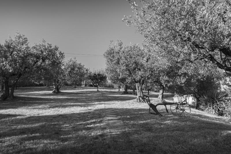 Agriturismo Assisi La Rocca - image 14