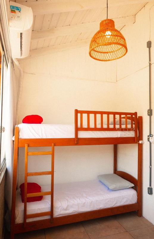 Sea Wolf Surf Hostel - image 11