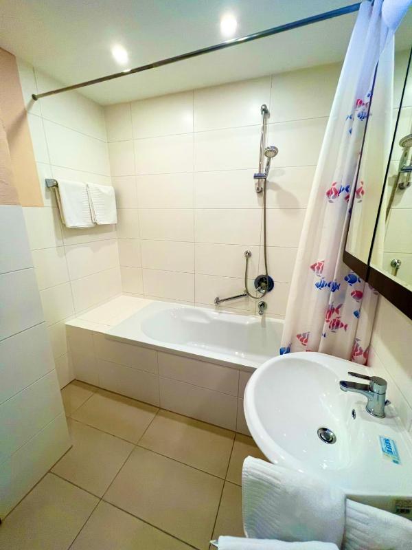 Family Room - Attic image 3