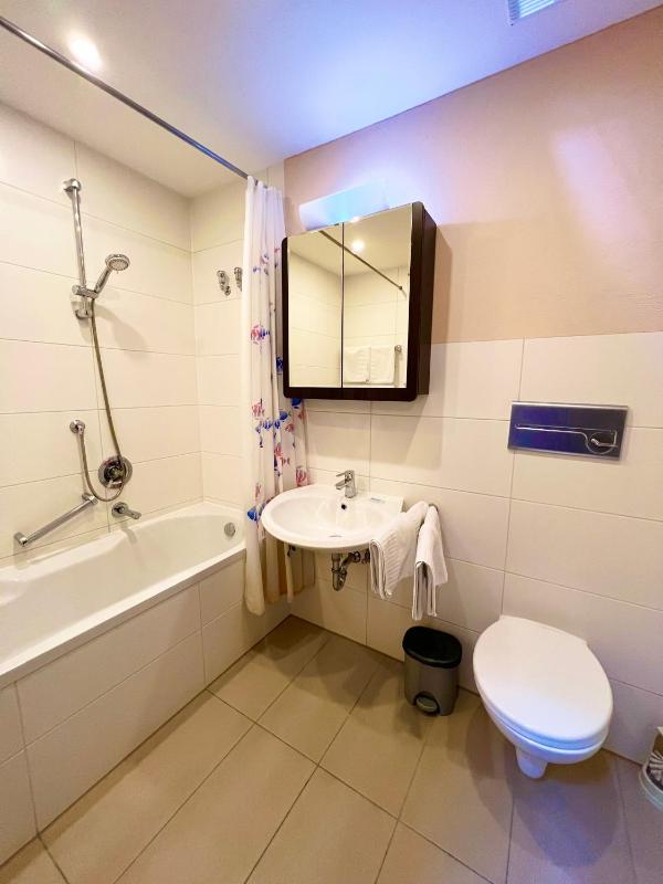 Family Room - Attic image 2