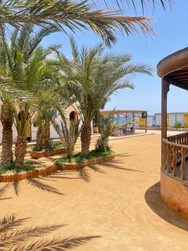 Shams Hotel & Dive Centre - image 10