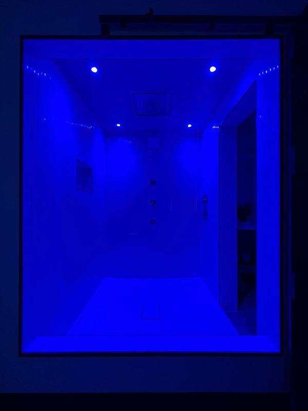 Mirrored Ceiling Smoking image 2