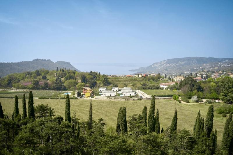 Ca'Verde Oliva - image 22