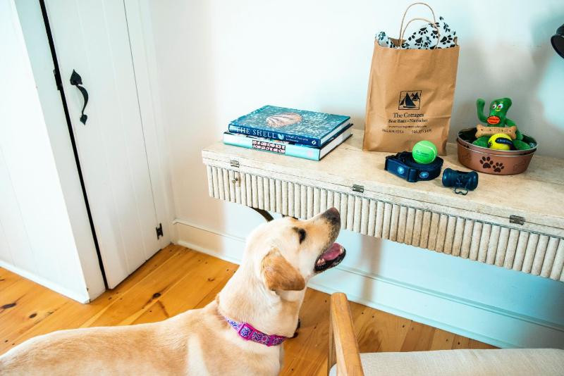 One Bedroom Cottage Pet Friendly image 3