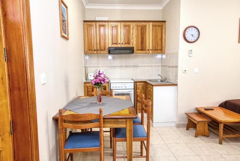 One-Bedroom Apartment with Terrace image 4