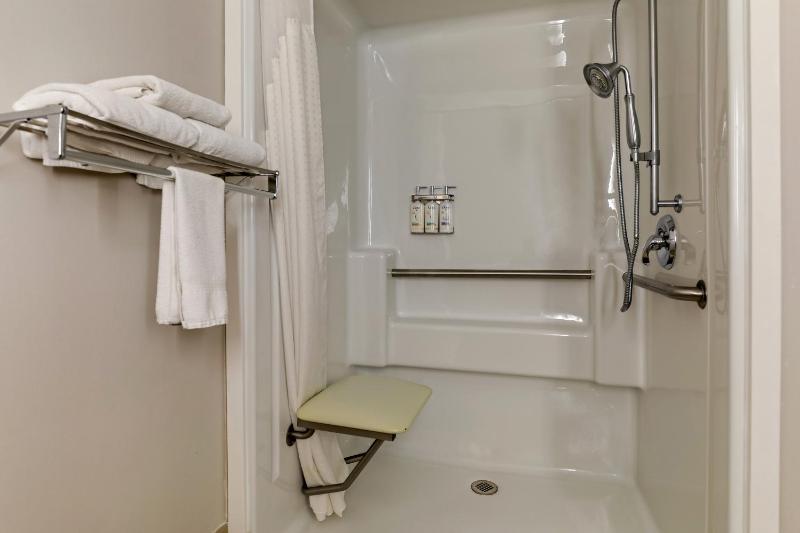 Standard King Room with Roll-In Shower - Mobility Access image 2