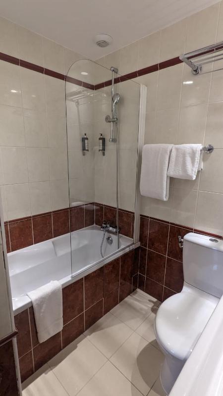 Superior Twin Room image 2