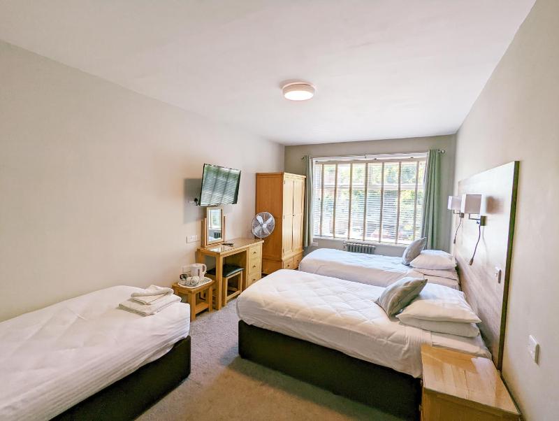 Standard Triple Room image 1